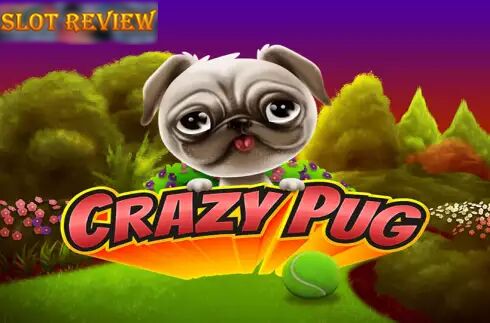 Crazy Pug